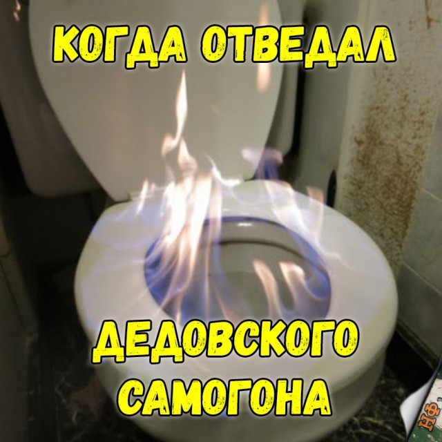 Прикольные картинки абавсём