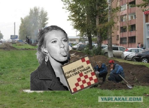 Суровые шахматисты