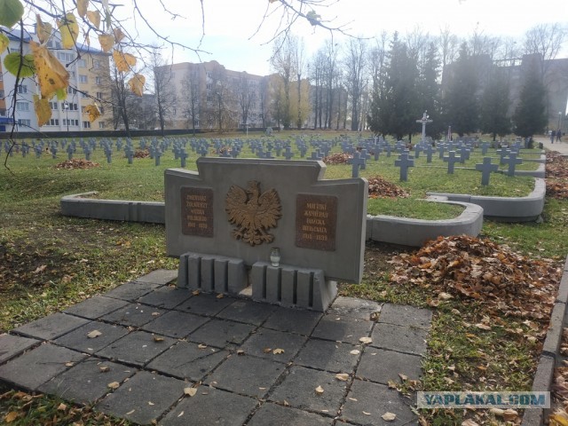 ЯП вокруг света. Германия, Австралия, Китай...