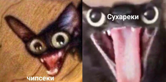 Девчонки вы вообще влюбляетесь ?