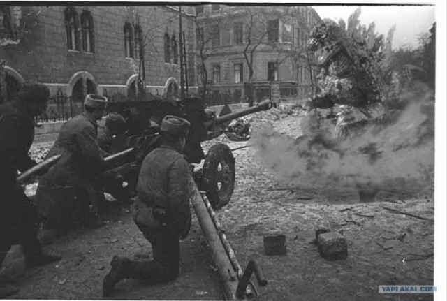 Мультяшки тоже воевали!