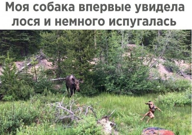 Прикольные и просто красивые картинки 30.12.2020