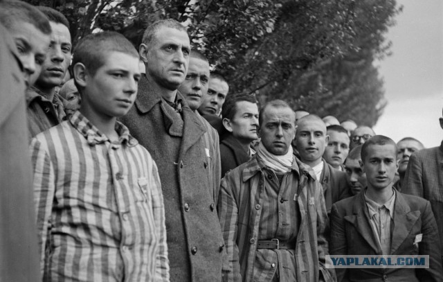 Питерский учёный считает, что «Холокоста в том объёме просто не было»