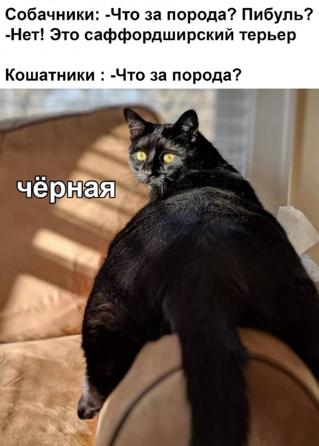 Фу, пошлятина одна