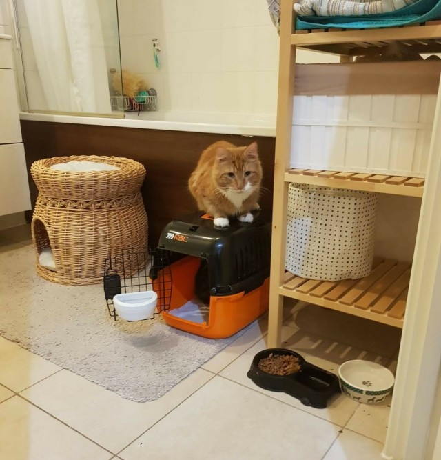 Долгожданный окот