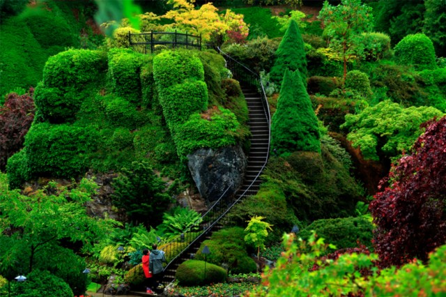 Упоротый Джа-дзен-пост