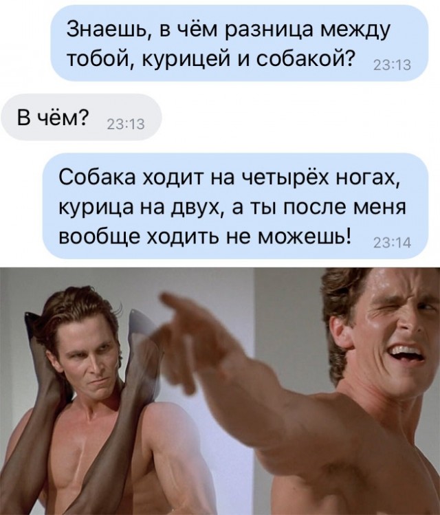 Весёлый полтишок 31.08