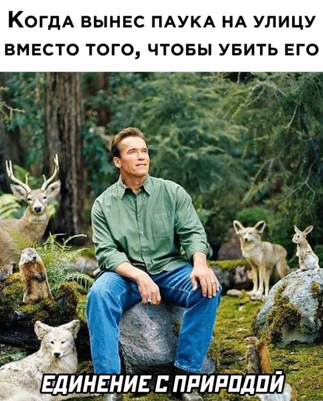 Картинки и мемы для настроения