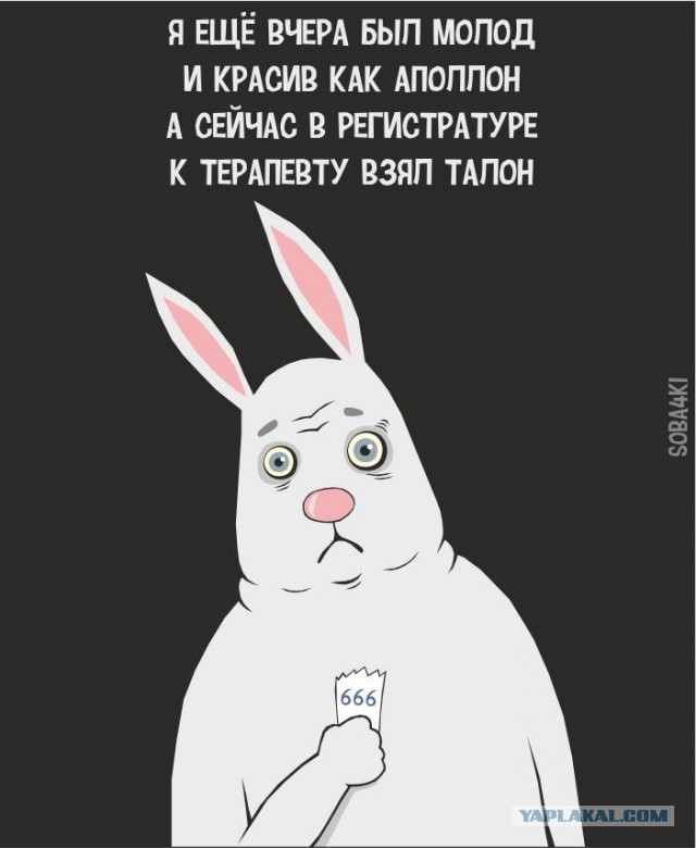 Мужики, по кОням, там у терапевта окно!
