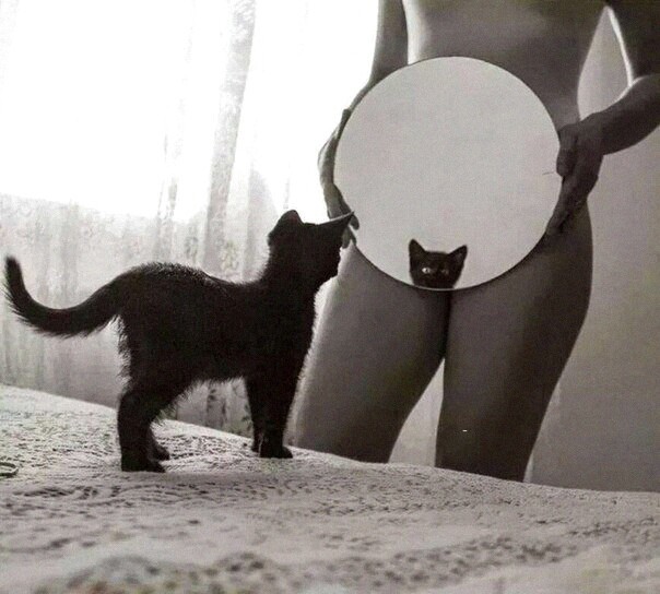 Так себе картинки 13.12.21