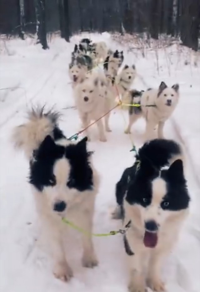 Колесо прохудилось