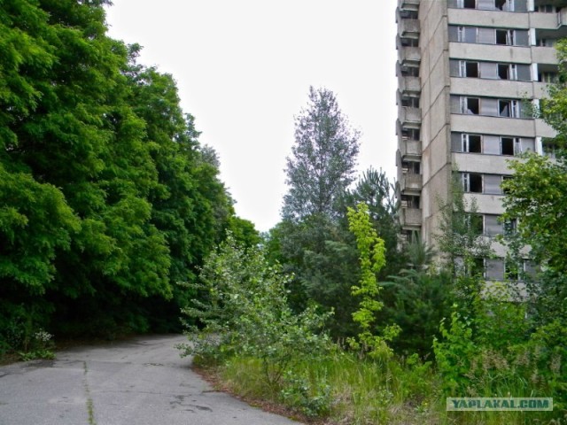 Мы и Тыгра. S.T.A.L.K.E.R.ы, через 12 стран
