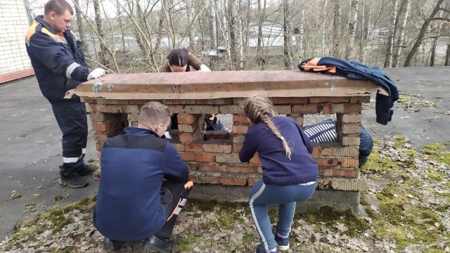 Три голубоглазых комочка вместе со своей мамой попали в неприятность, но их спасли