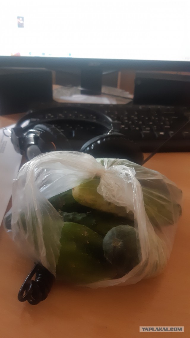 Я больше не женюсь