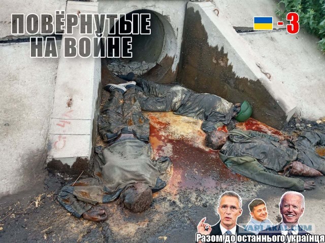 Зеленский созвал совет для возвращения Крыма