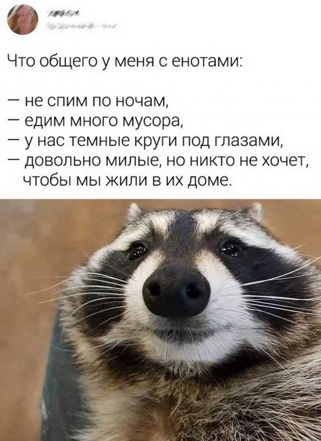 Прикольные и просто красивые картинки 05.09.2022