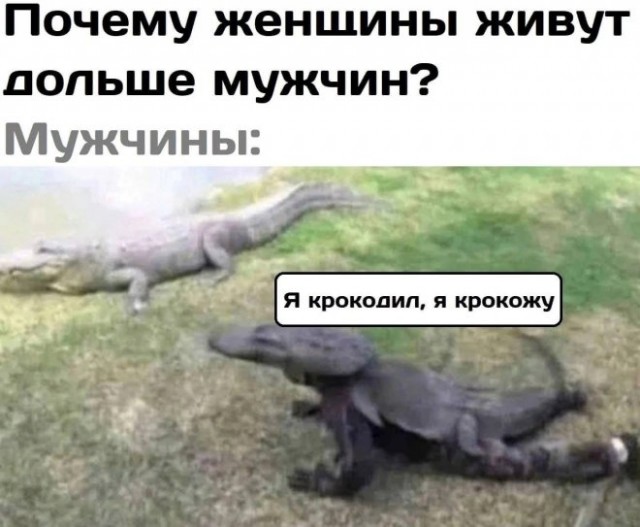Немного картинок для настроения - 114