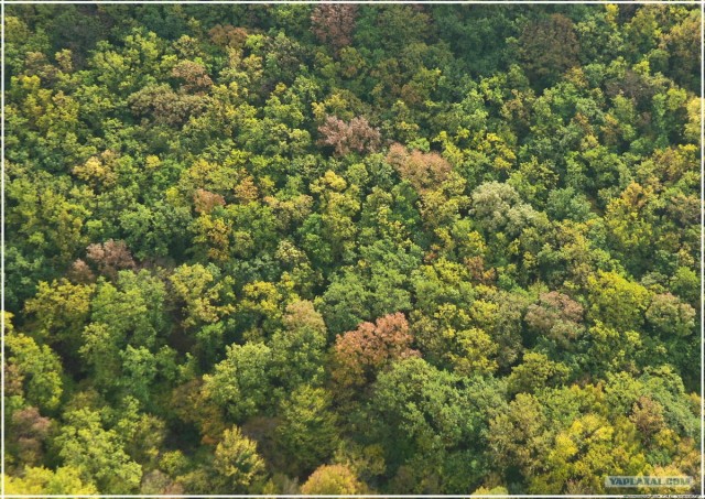 Крым. Змеиная балка. Терень-Джалга.