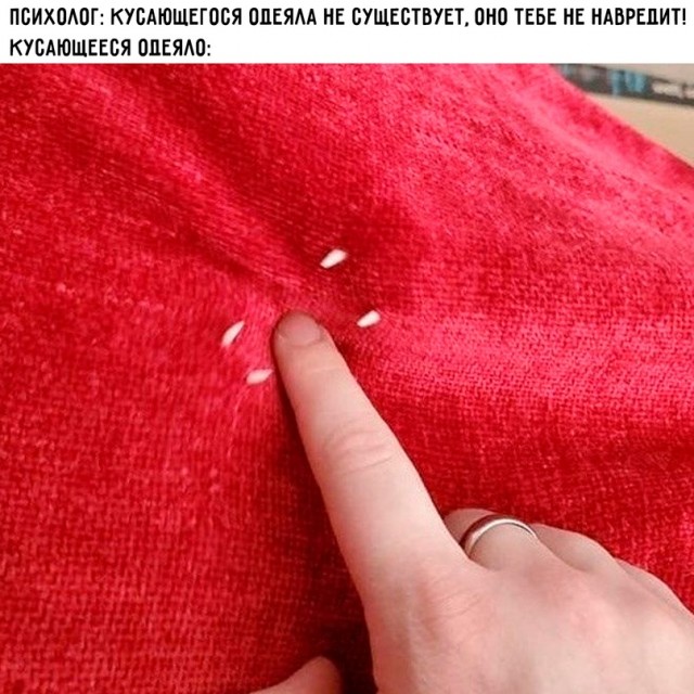 Картинки и мемы для настроения - 125