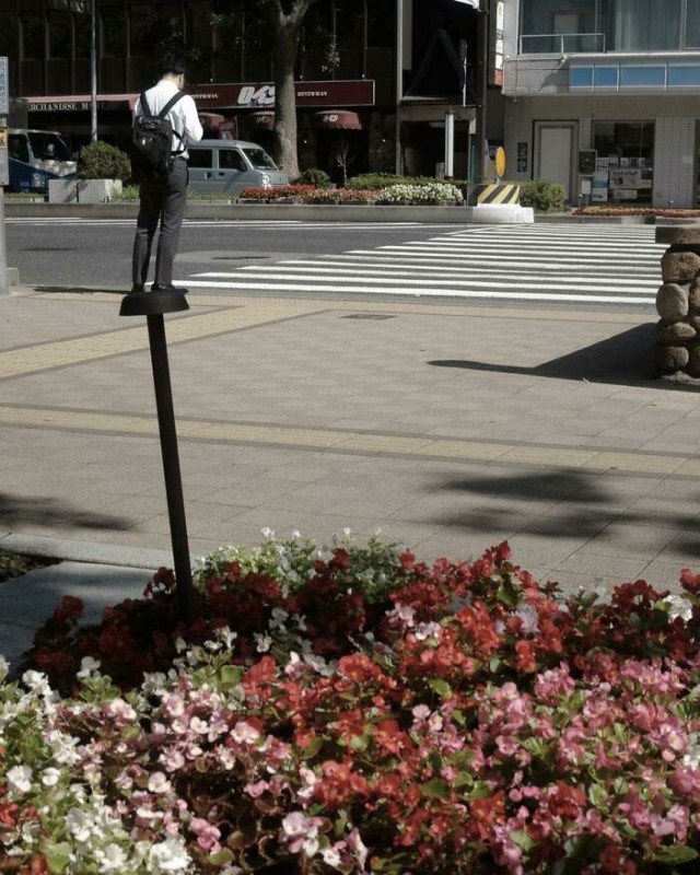 Фотографии , на которые нужно посмотреть дважды