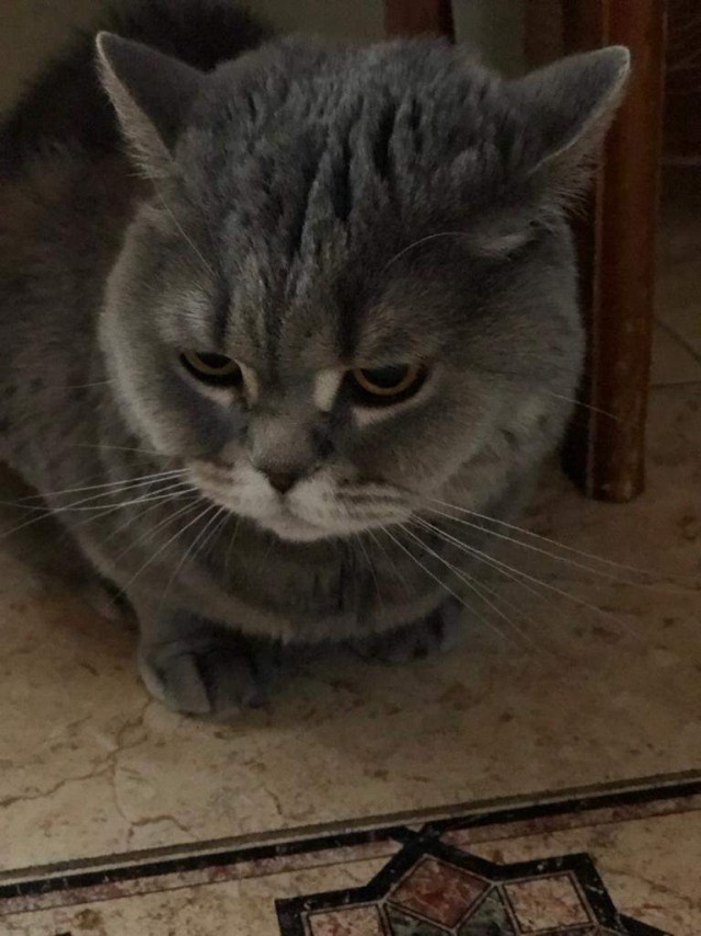 Ну вот и я стал рабом.