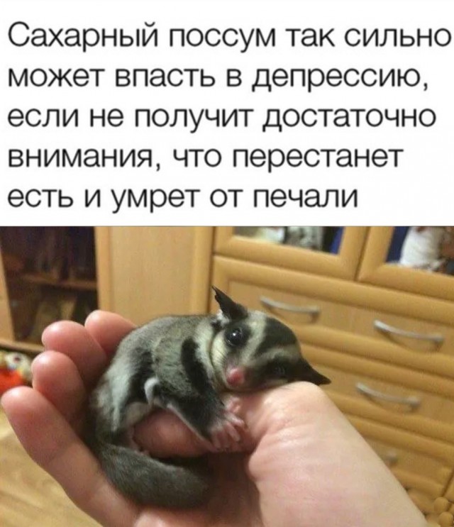 Так себе картинки 26.09.23