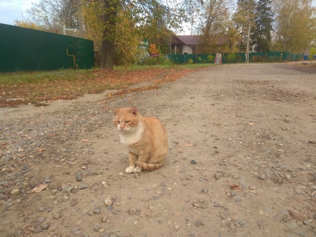 Сдался... Жена с дочкой победили