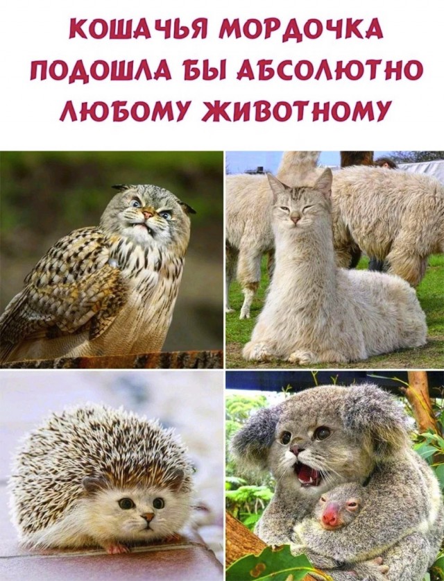 Немного картинок и прочей хреноты Vol. 27