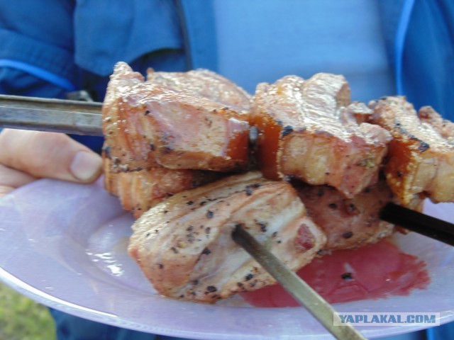 Дача, грибы, мясо, овощи.