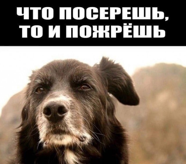 Всякой Хни вам в ленту, дорогие деграданты