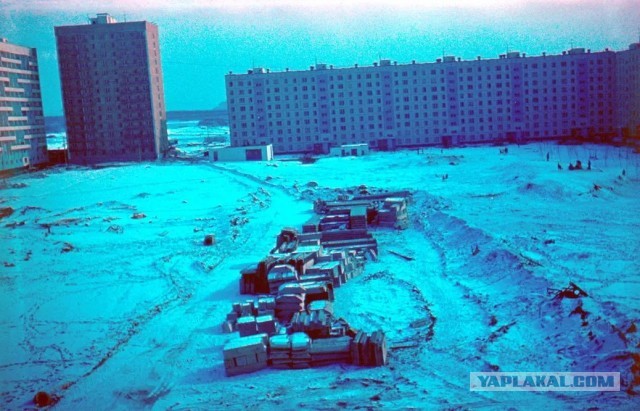 Картинки разные