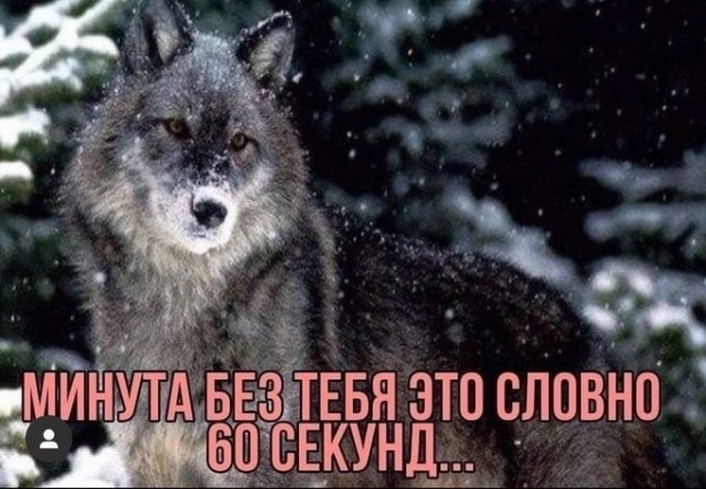 Всего понемногу. От 02.04.24