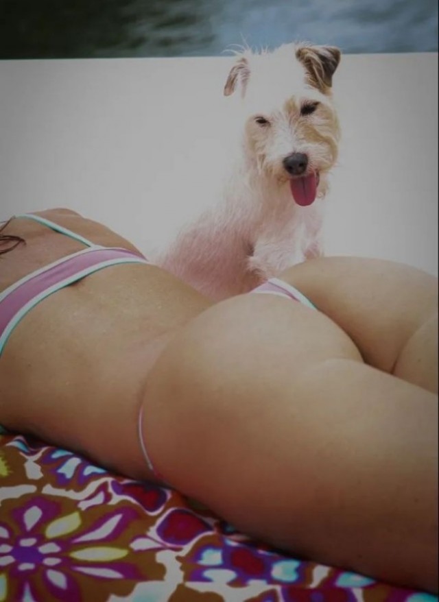 ФотоВинегрет