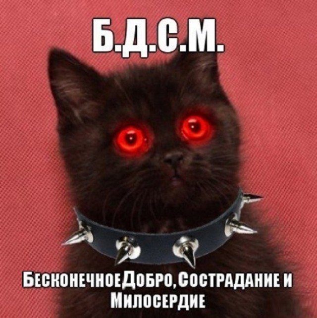 Картинки разные с надписями и без