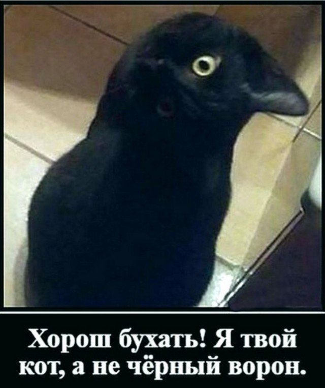 Так себе картинки 08.10.24