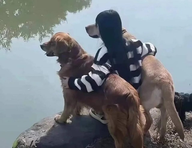 Неоднозначные фото на которые придется взглянуть дважды
