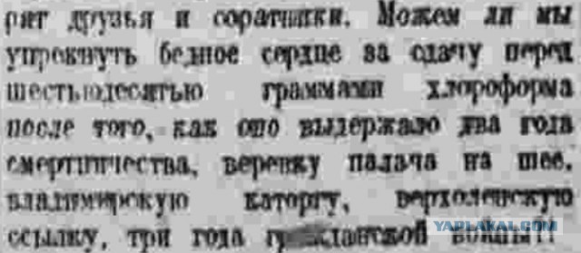 140 лет назад, 2 февраля 1885 года, родился Михаил Васильевич Фрунзе