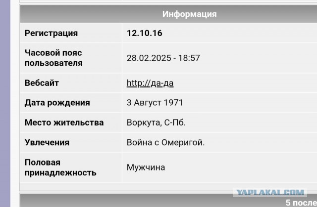 Спасатель МЧС погиб в детском саду, спасая кошку с дерева