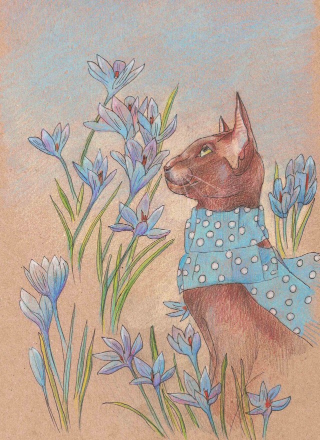 Мои рисунки