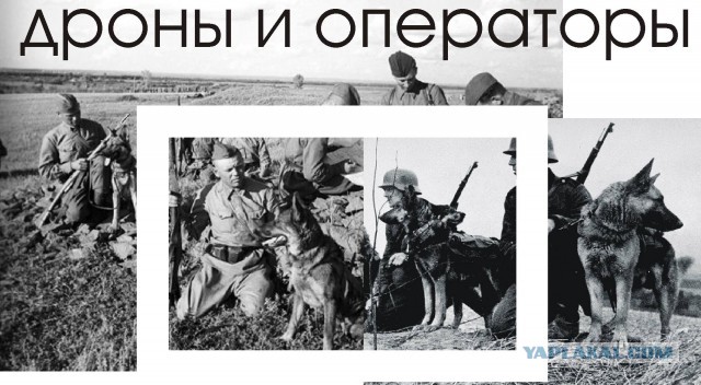 Дроны Великой Отечественной