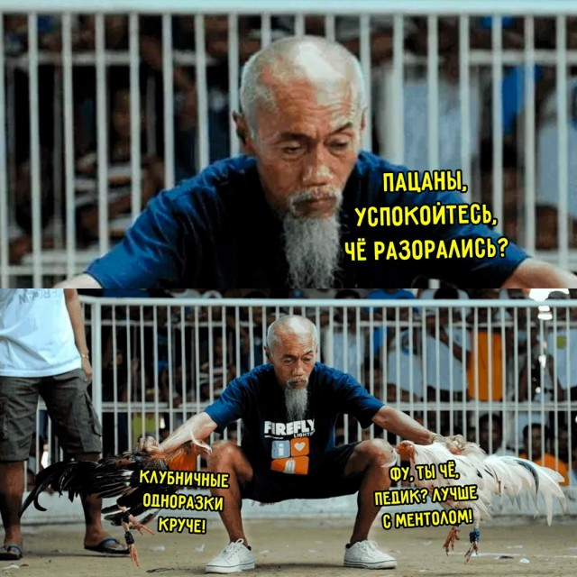 Весёлый полтишок 06.06.25
