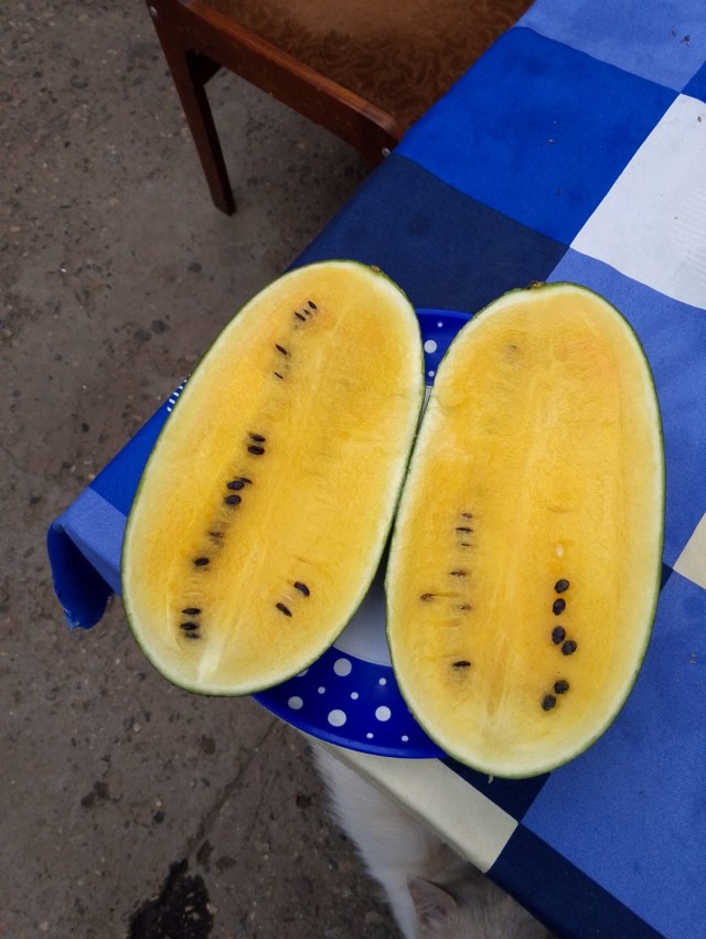 Сегодня собрали