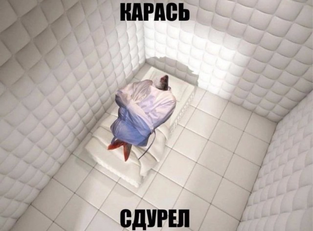 Веселое настроение в картинках (03.08.2025)