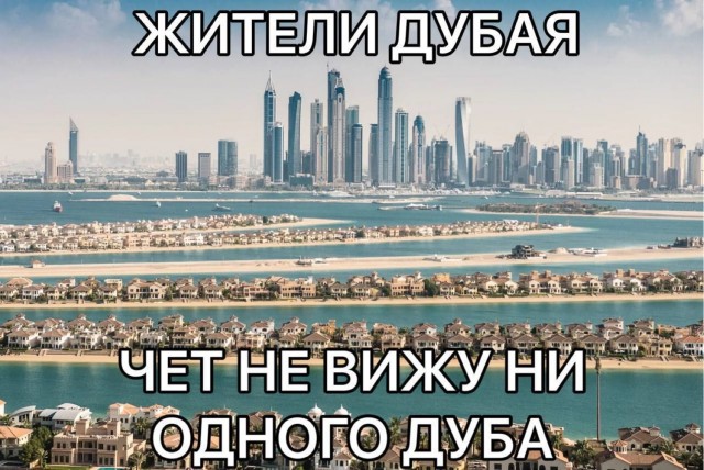 Картинки среды