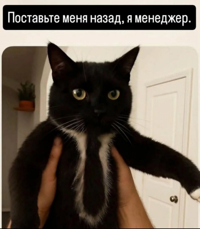 Аааа! Вспомнил!