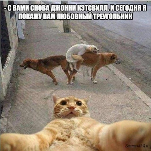 Пока не подружились