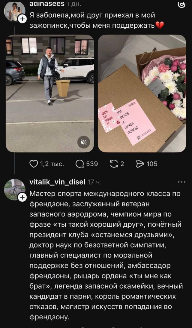 Потная гамсахурдия №8 (Картинки)