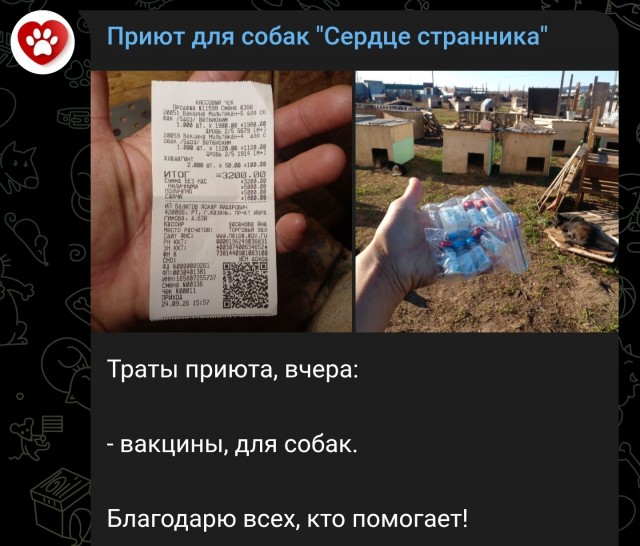 "Зоошиза" — не оскорбление, признал казанский суд