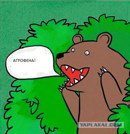 Мой муж - извращенец