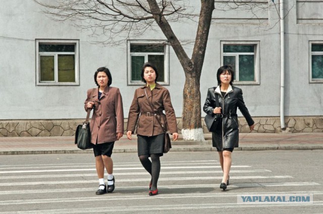 Северная Корея — Южная Корея